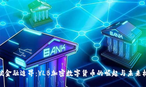 打破金融边界：YLB加密数字货币的崛起与未来机遇