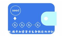 半衰期：揭开加密货币生